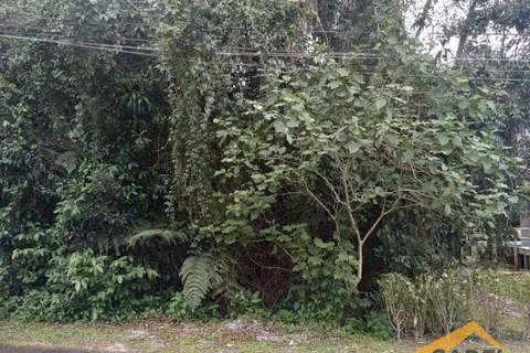 Terreno com 396 m² no Módulo 26 na Riviera de São Lourenço